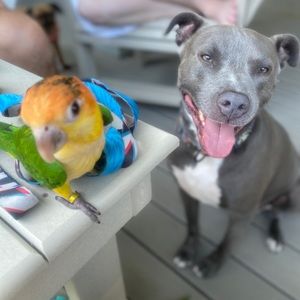 Meet your Posher, Mary